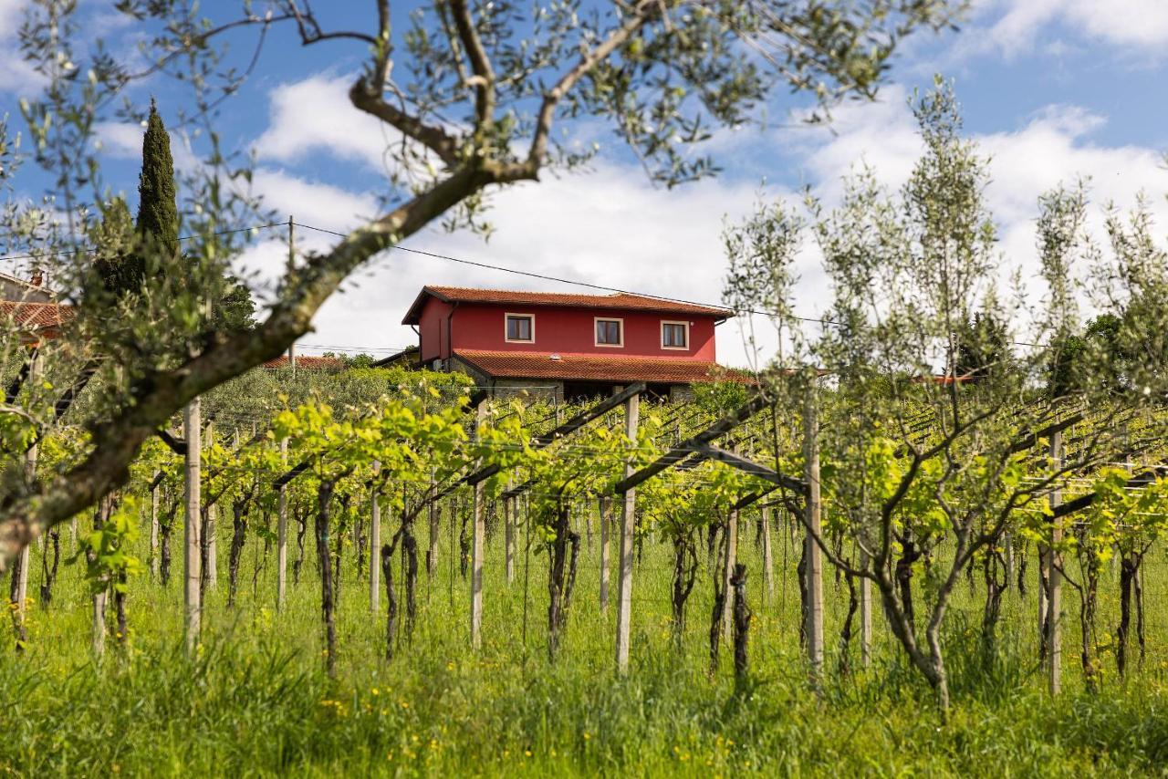 Touristfarm - Apartments "Red Fairytale" Marezige Exterior foto