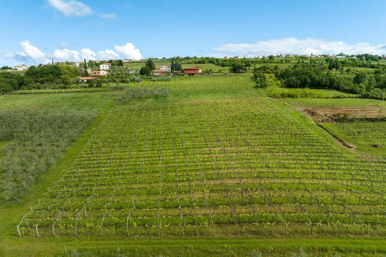 Touristfarm - Apartments "Red Fairytale" Marezige Exterior foto